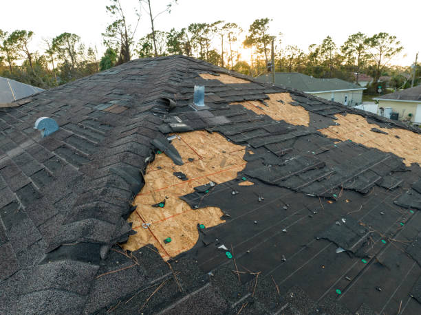 Best Asphalt Shingle Roofing  in San Lorenzo, CA